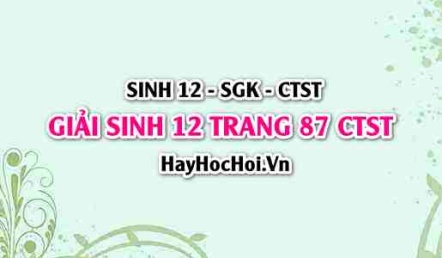 Giải Sinh 12 trang 87 Chân trời sáng tạo SGK